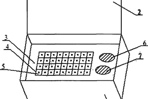 用于检测AFP试剂盒