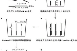 多重miRNA肿瘤标志物检测方法及其应用