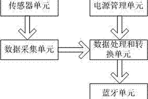 大应变监检测装置