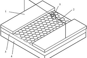 用于GIS特征气体检测的石墨烯基传感器