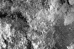偶联有链霉亲和素的磁小体及生物分离、免疫检测方法