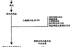 固定抗原糖类以支持病原微生物的检测