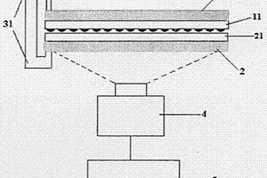 分子印章测序装置和测序方法