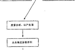 用于串联质谱从头测序的肽的连续衍生化