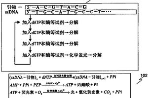 碱基测序方法及试剂