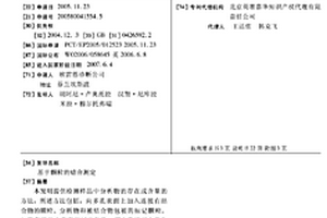 基于颗粒的结合测定