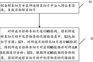 细胞内新的生物合成路径探测方法