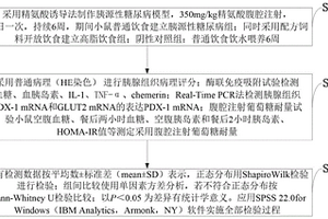 Chemerin对胰岛素抵抗的调控与CMKLR1激动剂的干预作用测定方法
