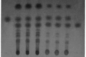 补骨脂药材的梯度、多种显色检视条件、多信息薄层鉴别方法