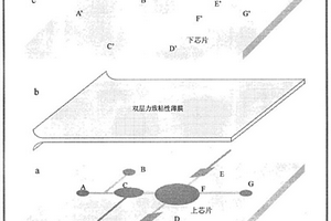 环境危险物监测与预警系统及其制备方法