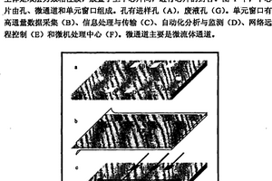 水质在线监测系统及其制备方法