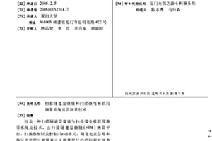 扫描隧道显微镜和扫描微电极联用测量系统及其测量技术