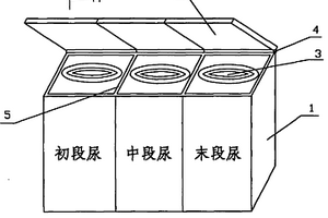 泌尿生殖系统检查用三段尿样集中置放采集器