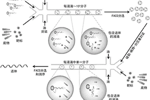 用于生物测定和诊断的胶囊封装的传感器和感测系统及其制造和使用方法