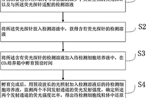 活细胞线粒体中还原型谷胱甘肽的浓度测定方法