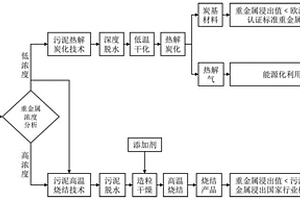 污泥热化学处理重金属稳定化和污泥安全资源化方法
