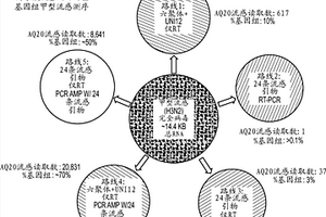 离子激流基因组测序