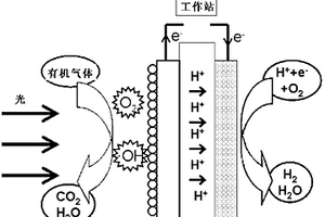 采用PFC光电催化法测定环境气体中总有机气体浓度的方法