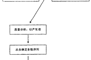 用于衍生多肽的串联质谱从头测序的锁定质量离子