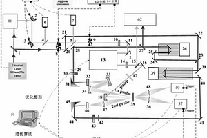 基于量子相干控制的分子动力学测量方法及其装置