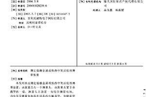 测定熔融金属或熔渣中氧活度的测量装置