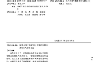 探测水体中溶解CO2含量的电极及其制备与使用方法