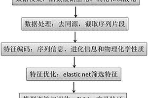 识别酪氨酸翻译后修饰位点的预测算法