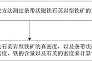 利用真密度推测条带状磁铁石英岩型铁矿中铁品位的方法