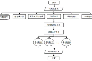 基于计算的预测荧光蛋白质的方法