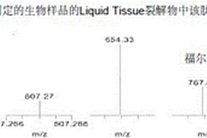 针对丝氨酸/苏氨酸蛋白激酶B‑raf (BRAF))的SRM/MRM测定