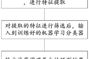 基于机器学习的海藻固碳蛋白预测方法及系统