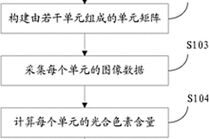 大豆叶片的光合色素测定方法及系统