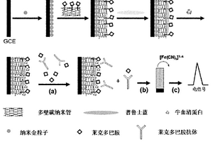 用于测定莱克多巴胺的免疫生物传感器的制备方法