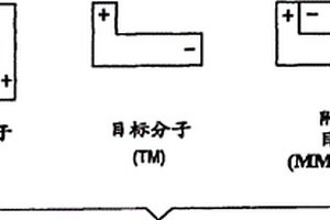 通过阻挡层测量分子浓度的装置和方法