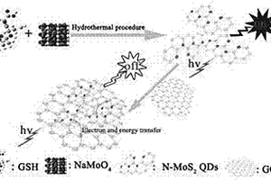 基于二硫化钼量子点测定氧化石墨烯浓度的方法