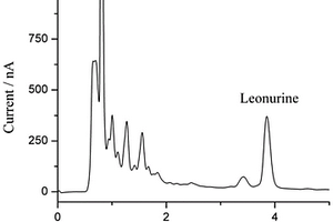 HPLC-ECD测定益母草碱含量的方法