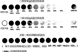 免疫组织化学抗原成像标尺外推方法