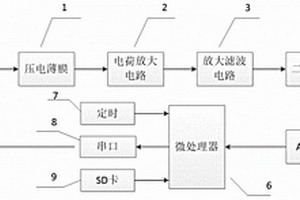 基于矢量场信息增强型心冲击图监测装置