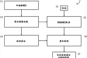 分子化学成像与RGB成像的融合