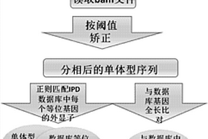 基于三代测序平台的HLA基因分型方法