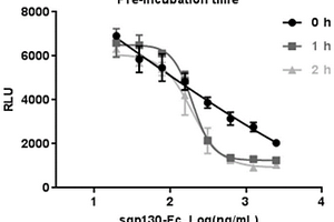 测定重组人可溶性gp130-Fc融合蛋白生物学活性的新方法