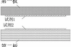 增强、快速、均相细胞染色和测定