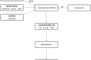 基于结构网络模型的蛋白质功能位点预测方法