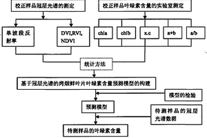 基于冠层多光谱的烤烟鲜烟叶叶绿素含量测定方法