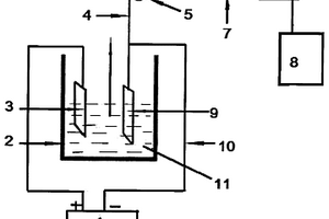 观察电化学法生长纳米材料的装置及其控制方法
