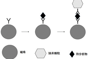 生物样品检测方法及检测试剂盒