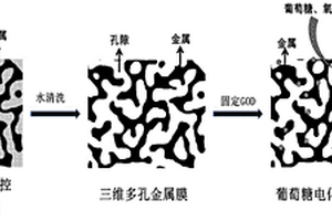 基于纳米多孔金属膜的葡萄糖电化学微电极传感器