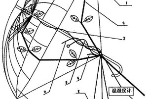 树木挥发性有机化学物采集装置