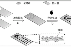 三维纸基电化学传感器件其制备方法与应用