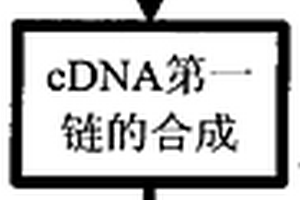 猪肉肌纤维类型组成的mRNA定量检测方法